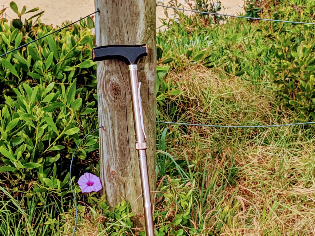 THE ART OF LOOKING GOOD WHILE FEELING UTTERLY&nbsp;DISPOSABLE