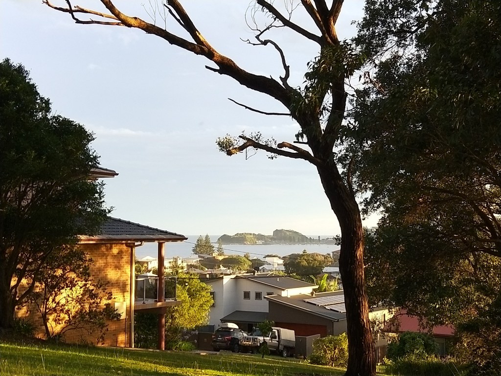 MY LIFE IN A NAPPY BY EFFING FED UP VAN DER&nbsp;DRAAY